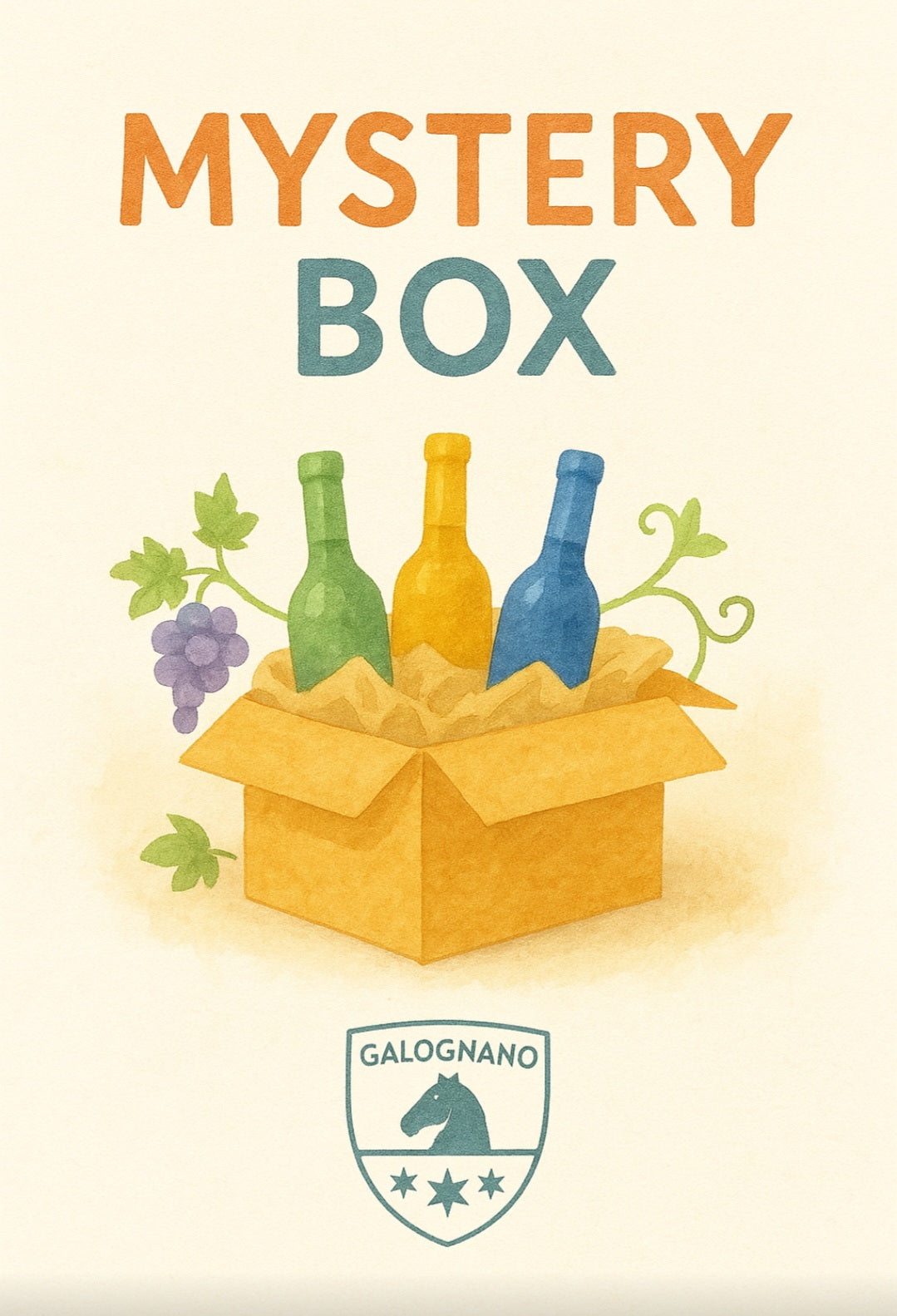 MISTERY BOX N° 1