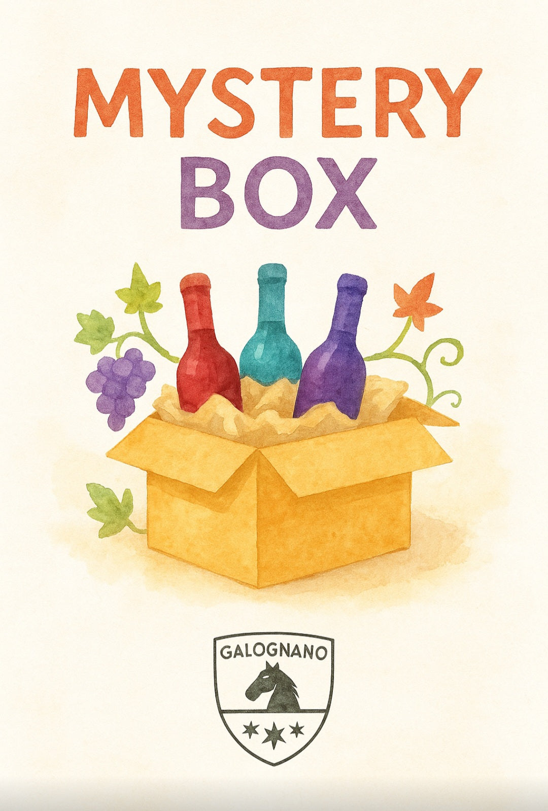 MISTERY BOX N° 2